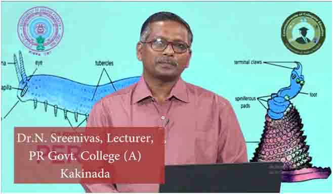 Mana TV Presentation by Dr.N. Srinivas